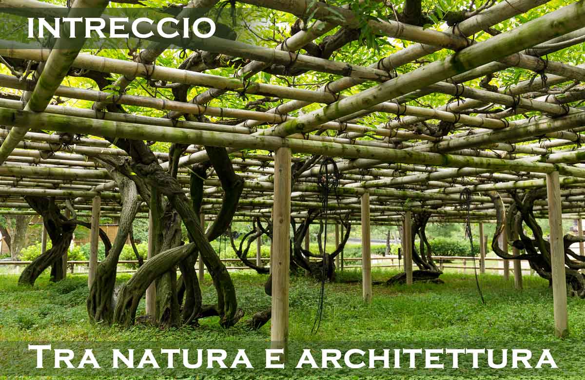 Architettura Naturale